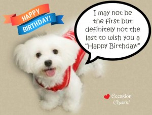 Cute Animals Birthday Wishes for Your Facebook Friends